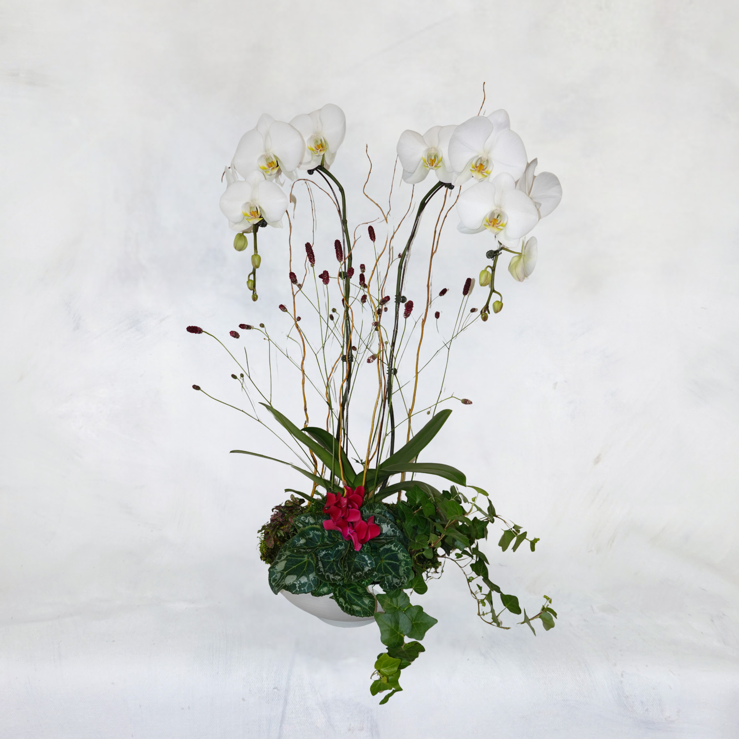 Orchid Arrangements