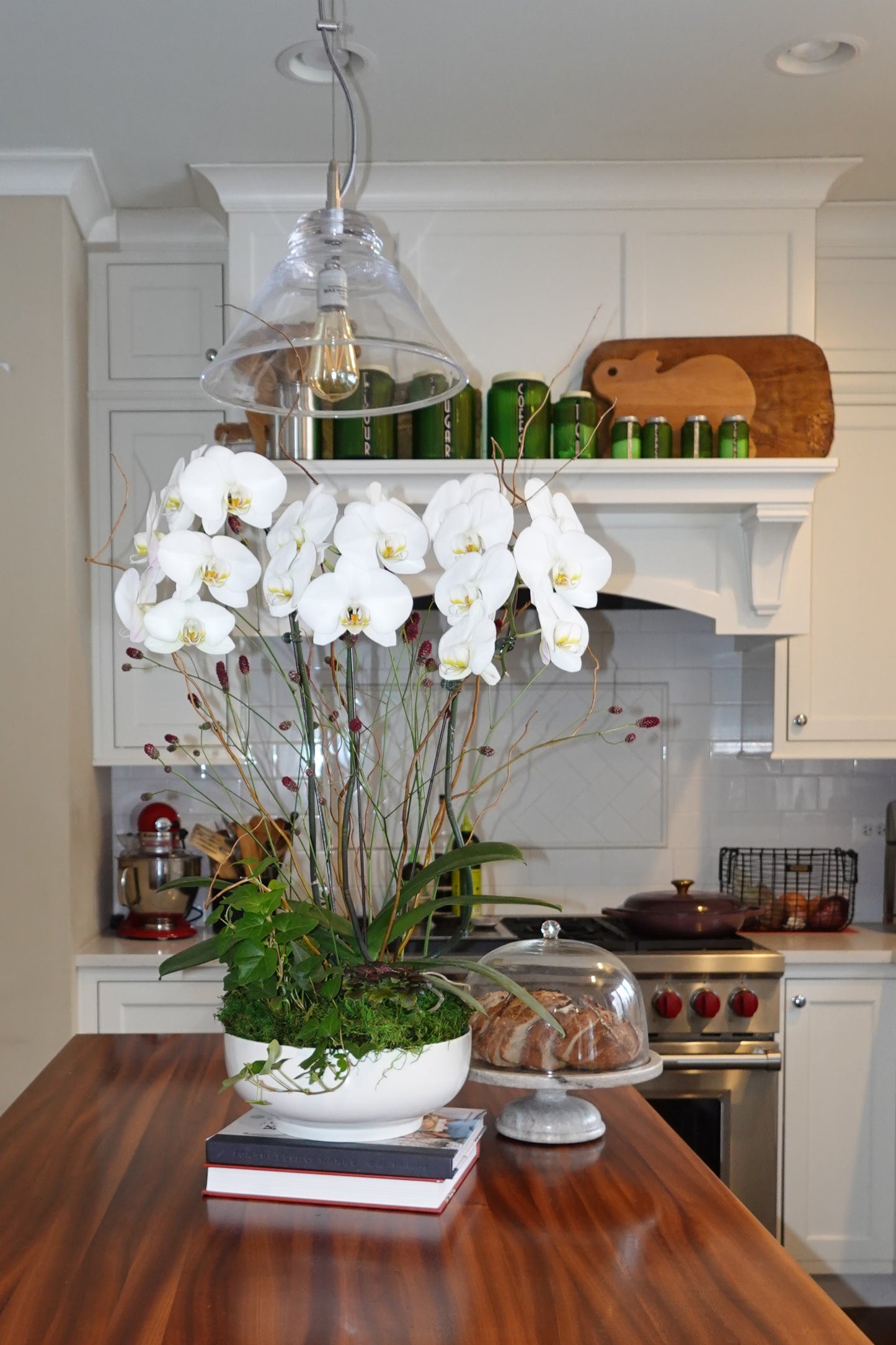 Orchid Arrangements