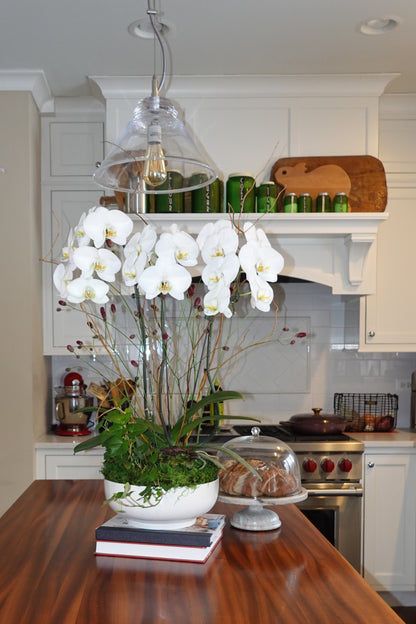Orchid Arrangements