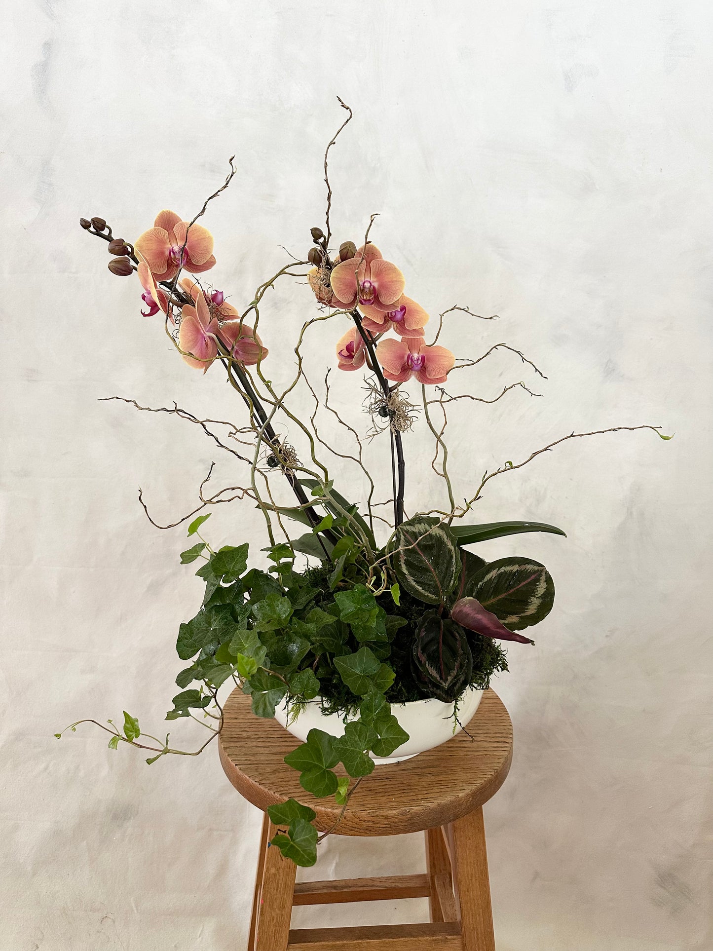 Orchid Arrangements