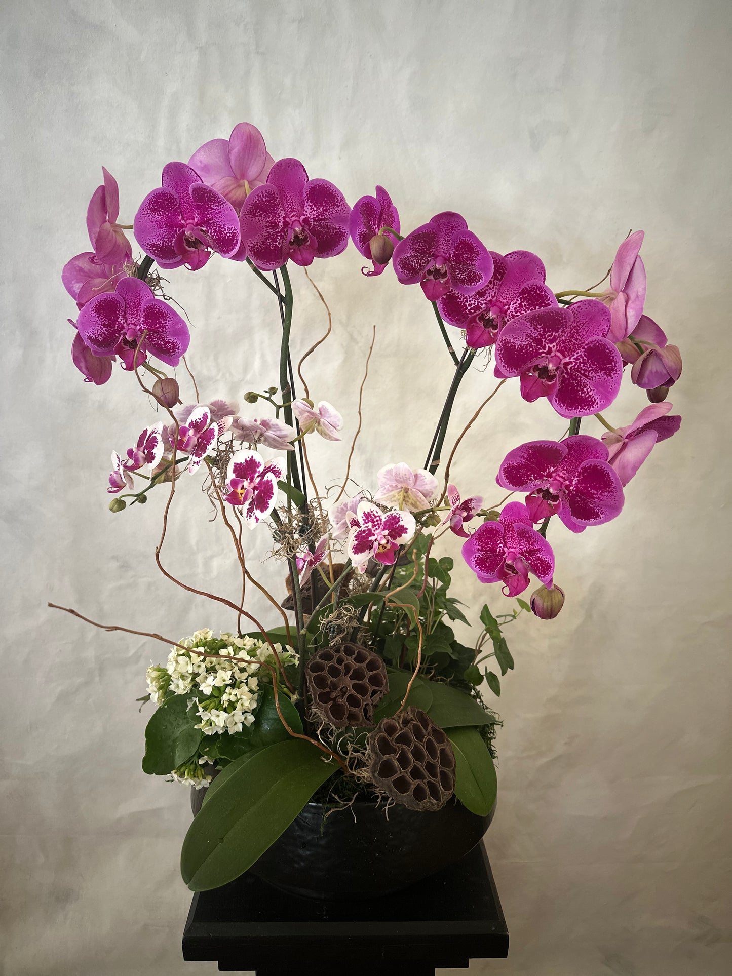 Orchid Arrangements